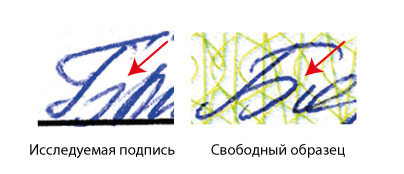 Сравнение образов подписей при почерковедческой экспертиза